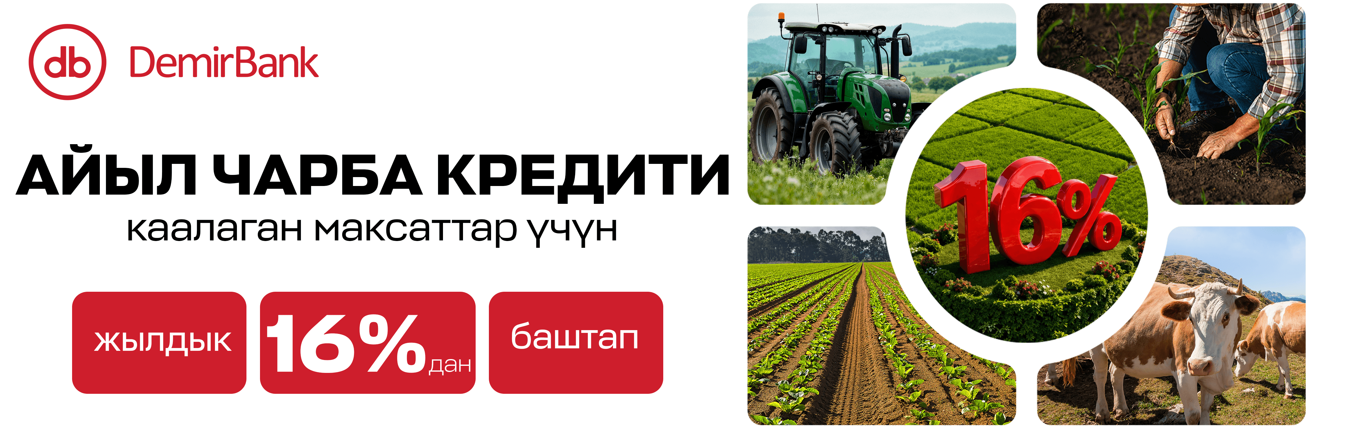 Агро_кырг.png
